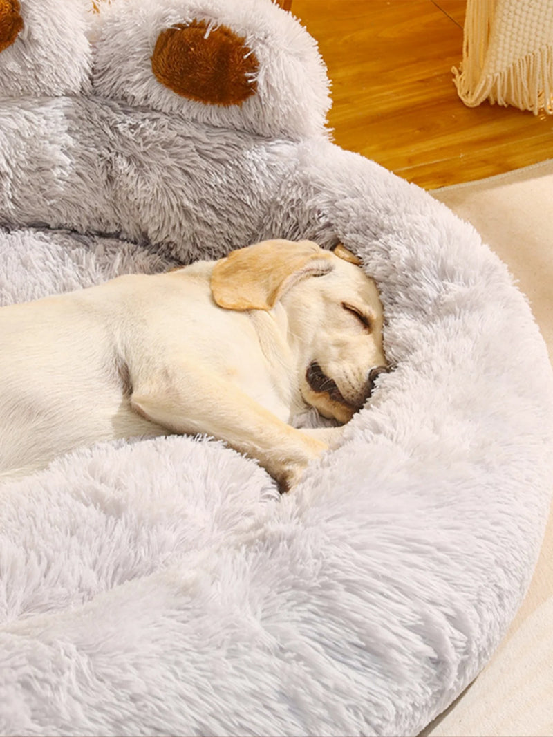 Cama Para Cachorros E Gatos